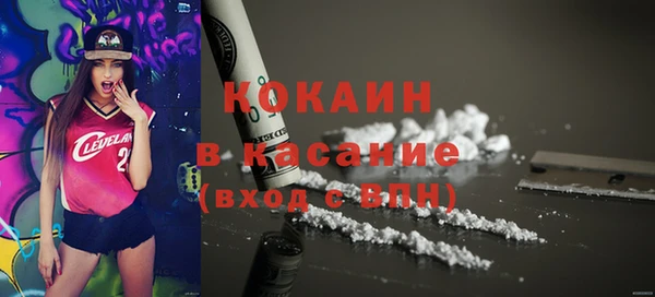 крисы Алексин