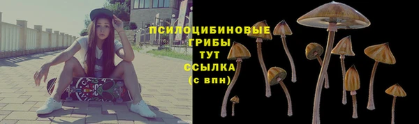 дурь Абдулино