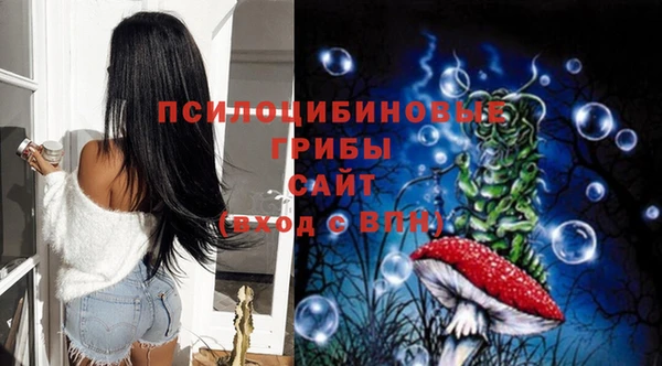 apvp Ростов