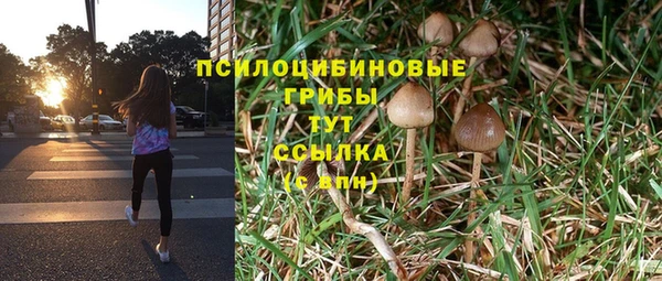 твердый Рославль