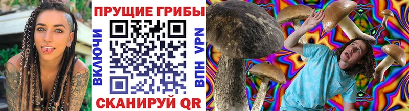 Псилоцибиновые грибы мухоморы ОМГ ОМГ как войти Краснозаводск